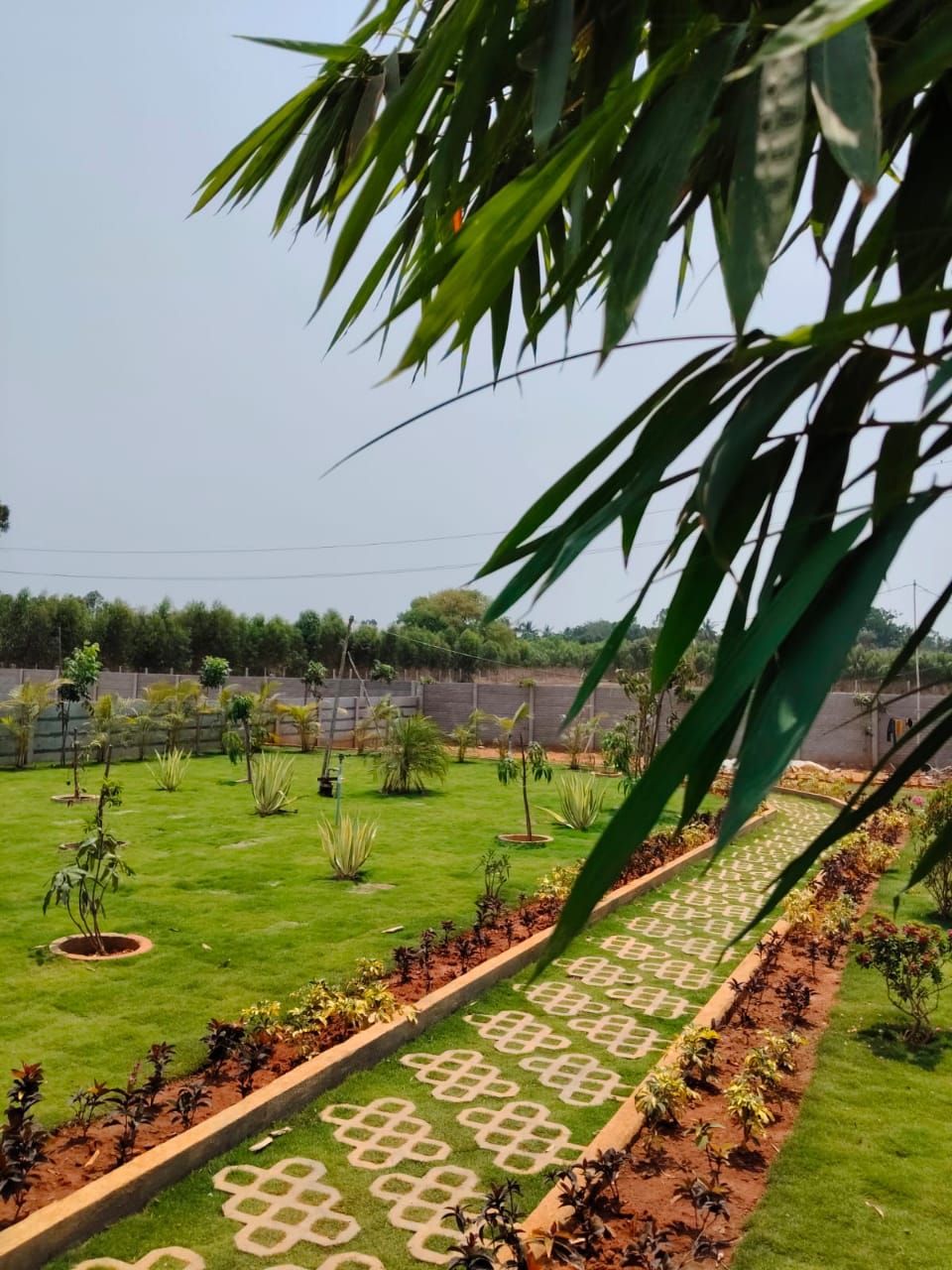 Site landscape photograph