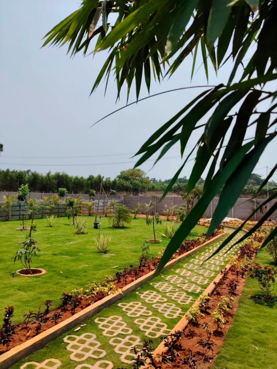 Landscaped pathway at Evergreen Heaven